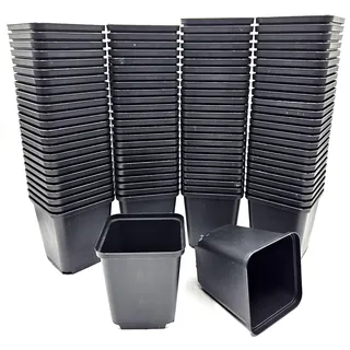 samenfritze 100 x Anzuchttöpfe 8x8x8,5 cm