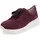 aubergine 39