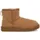 Chestnut 43
