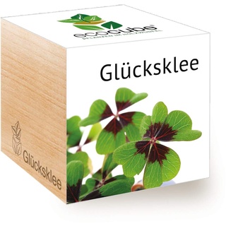 Feel Green 296275 Ecocube Glücksklee, Nachhaltige Geschenkidee (100% Eco Friendly), Grow Your Own/Anzuchtset, Pflanzen Im Holzwürfel, Made in Austria, natural