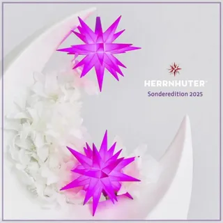 Herrnhuter Sterne Stern 8 cm violett Sonderedition 2025
