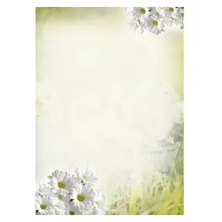 Böttcher-AG Briefpapier marg, Margeriten, A4, 90 g/m2, 50 Blatt