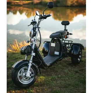 E-Scooter Coco Trike Bike Dreirad 60V 2000 Watt mit Straßenzulassung Roller Fun