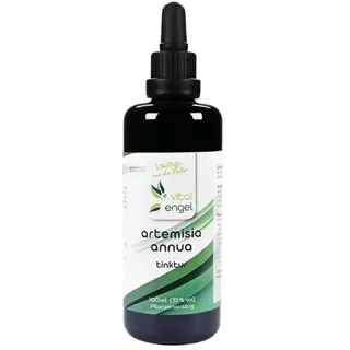 Vital Engel Artemisia annua Tinktur