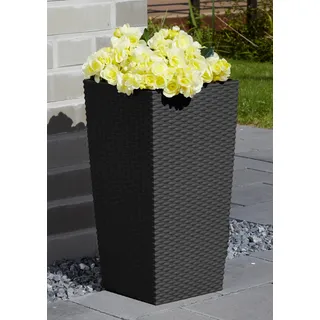 Prosperplast Rato Square 33 x 33 x 61 cm anthrazit
