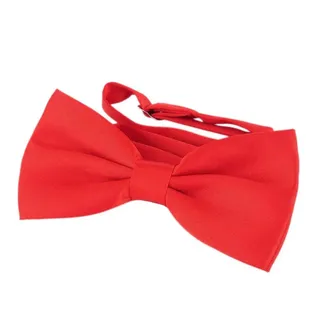DonDon Edle rote Fliege bzw. Schleife mit Haken - bereits gebunden und verstellbar - Einheitsgröße