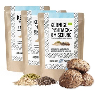 Kerniges LOWER-CARB-BROTBACKMISCHUNG 3x450g – Bio, vegan, glutenfrei, Saatenbrot, proteinreiches Brot, Lebensmittel ohne Getreide, Organic Workout