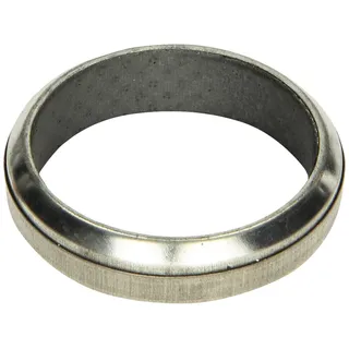 FA1 Dichtring, Abgasrohr