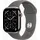 GPS + Cellular 46mm Natural Titanium Sport Band stone grey M/L