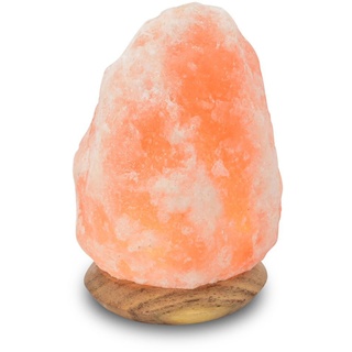 Himalaya Salt Dreams LED-Salzleuchte Compus mit USB für Computer&Laptop