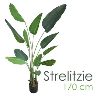 Decovego Künstliche Strelitzie 170 cm, Paradiesvogelblume Kunstpflanze im Topf, Pflegeleichte Zimmerpflanze für Innenräume