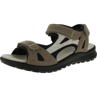 taupe 41