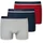 95/5 Shorts Organic Cotton Webgummibund mehrfarbig XL 3er Pack