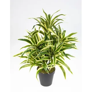Seidenblumen Roß Dracena 42cm grün-gelb im Topf DA Drachenbaum Kunstpalmen Dekoapalme Kunstpflanzen künstliche Pflanzen Palmen