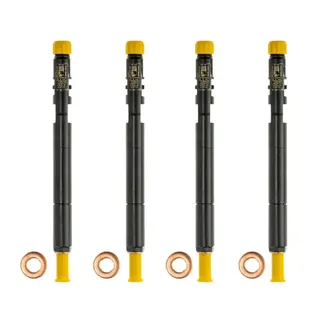 4X A6460700987 Injektor Mercedes C 200 CDI - E 200 CDI Delphi (EJBR04201D, A646070098780, R04201D)