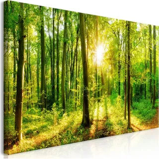 Wandbild Mega XXXL Wald 250x125 cm Einteiliger XXL-Format Kunstdruck zur Selbstmontage Leinwandbilder moderne Bilder DIY Wanddekoration Wohnung Dek...