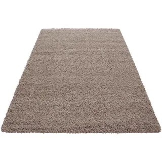 Hochflorteppich Life Beige Braun/Beige ca. 80x150cm