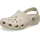 Clog Beige 29