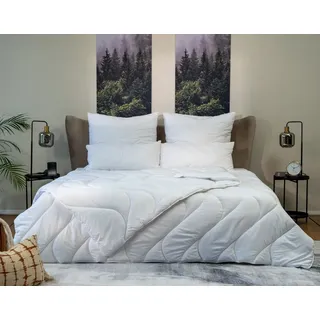 BEFA CARE Microfaserbettdecke 4-Jahreszeiten-Bettdecke mit Aloe Vera - Sommer, Ganzjahr, Winterdecke, Füllung: Hochwertige Mikrofaser - Erhältlich als 2-teiliges Set, Bezug: Ganzjahrdecke, für jede Jahreszeit - Allergiker geeignet - 135x200 155x220 200x200 weiß 135 cm x 200 cm