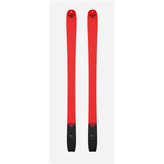 Black Crows Camox Freebird Rot 173 cm