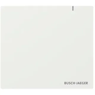 Busch-Jaeger System Access Point 3.0 Wireless
