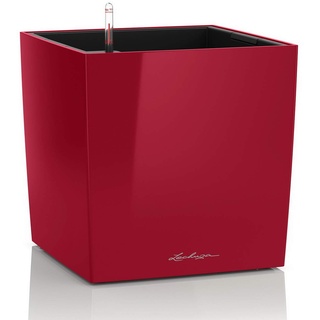 50 Komplettset 50 x 50 x 50 cm scarlet rot hochglanz