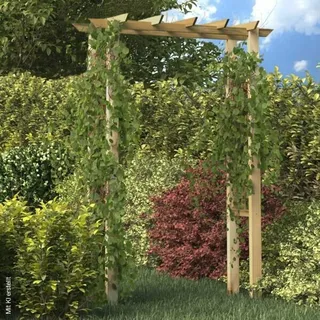 vidaXL Rosenbogen 150 x 60 x 204 cm Holz Imprägniert