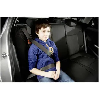LifeHammer 19161 SAFETY BELT SOLUTION Sicherheitsgurtführung Kinder, Erwachsene