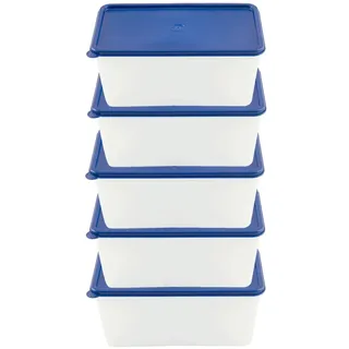 EUROHOME Vorratsdose Gefrierdosen Set 0,75L zum Frischhalten und Gefrieren, Kunststoff, (Set, 1-tlg., Frischhaltedose im 5er Set), Gefrierdosen mit fest Deckel - Vorratsdosen Set weiß