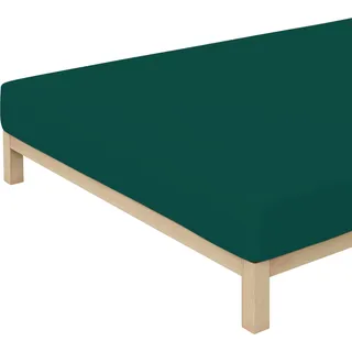 Baumwolle 140 x 200 - 160 x 220 cm green deep