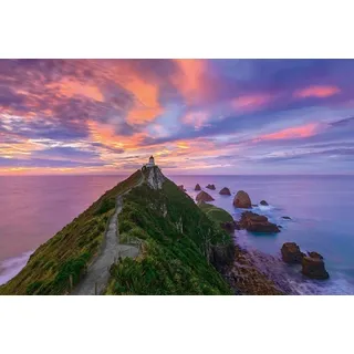 Schmidt Spiele Nugget Point Lighthouse New Zealand (59348)