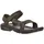 olive swirl 43