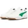 Warm White/Archive Green/Navy/Gold/Pristine 44