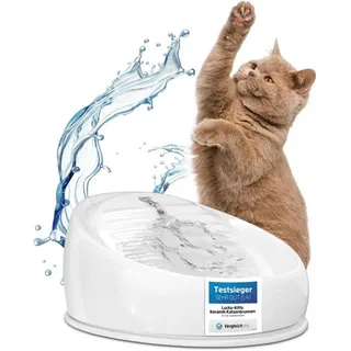 lucky kitty Lucky-Kitty Katzenbrunnen Keramik weiß