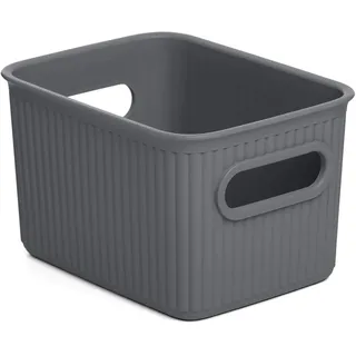 TATAY Aufbewahrungsbox Kunststoff 1,5 L Baobab | Organizer Box | Integrierte Griffe | Kompaktes und Vielseitiges Design | BPA-freier Kunststoff | 12.5x16.4x10 cm, Grau