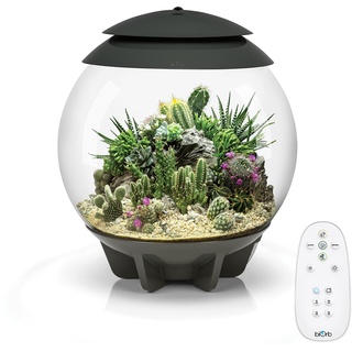 biOrb AIR 30, grau - automatisches Terrarium zur bequemen Pflanzenpflege / geeignet für empfindliche, exotische Pflanzen