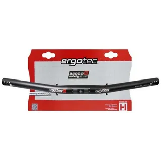 Ergotec Lenker Flat Bar 600 mm schwarz