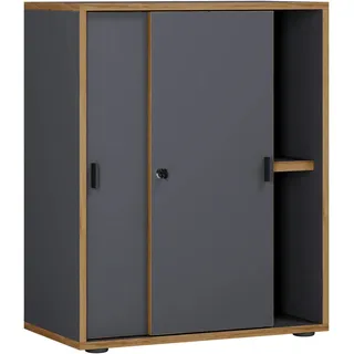 VCM Salia Aktenschrank 60 x 37,4 x 74 cm anthrazit