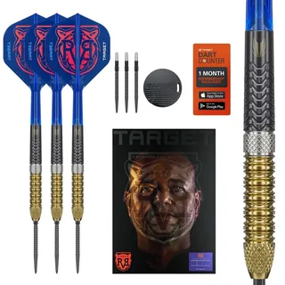 Target Raymond van Barneveld G6 23 g