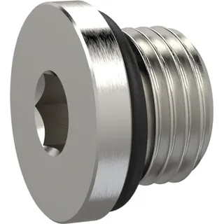 Riegler Verschlussschraube, Innensechskant 6 mm, G 1/4, NBR O-Ring, MSN