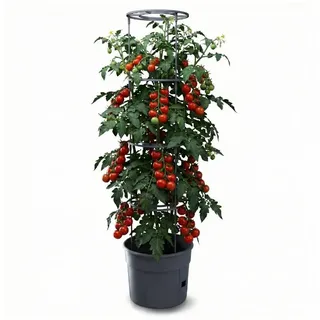 Prosperplast Tomatentopf Ø 34,5 cm Rot