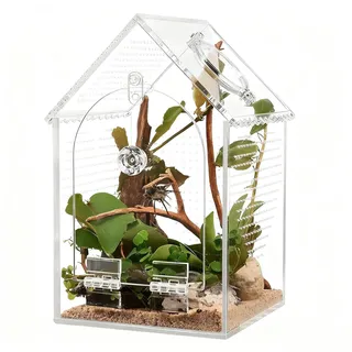 Springspinnen Terrarium - Ausstellungs Terrarium Mit Fluchtsicherung - Springspinnen Set - Für Familie, & Innenbereich Zuhause