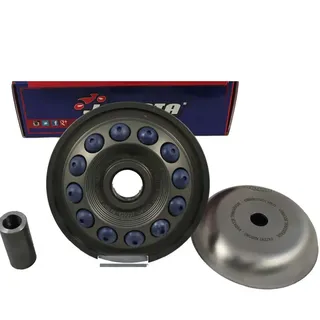 J.costa Pro Series Honda Nss 125 Abs 2021/sh 125 I Abs 2021/sh 350 I Abs 21-22 It648pro Variatorkit - Silver - One Size