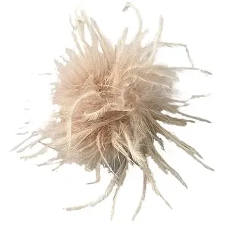 SYSUII Damen Federbrosche,Natürliche Straußenfeder Ansteckbrosche Feder Brosche Pins Kleid Zubehör Fascinators Kostüme Dekor Kopfbedeckung für Frauen Mädchen Geburtstag Hochzeit Party-Kamel