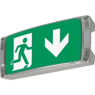 Ceag Notlichtsysteme Rettungszeichenleuchte LED S CG-S