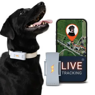 PAJ GPS Tracker für Hunde - 4G - Weglaufalarme + weltweite Live-Ortung - bis zu 10 Tage Akkusparmodus - Hunderückruf - mit Leucht-LEDs - Wasserdicht (IP67) - passt an jedes Halsband (Grau)