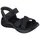 Black 35
