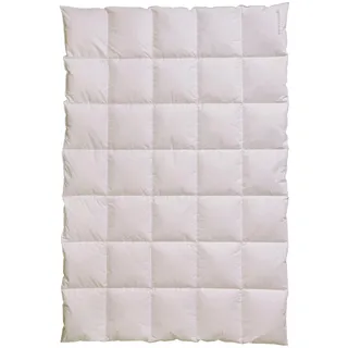 Centa-star extra Kassettendecke "Golf von Alaska" Daunen/Feder 2 cm hohe Stege - Wärmestufe 3 Größe 135x200 cm