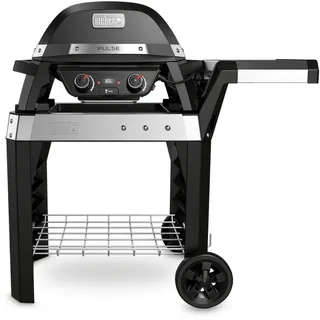 Weber Pulse 2000 mit Rollwagen