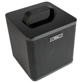 Fame AG-40A Akustikgitarren Verstärker, 40 Watt, 2 Kanäle, Integrierter Reverb, Bluetooth-Schnittstelle, Akkubetrieb